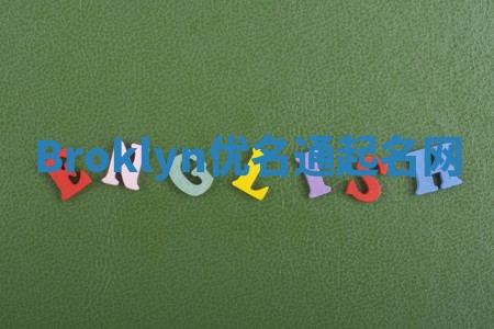 Broklyn优名通起名网