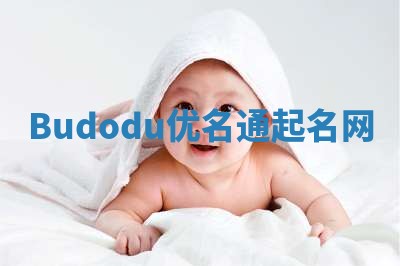 Budodu优名通起名网