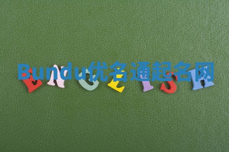 Bundu优名通起名网