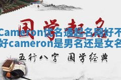 Cameron优名通起名网好不好 cameron是男名还是女名