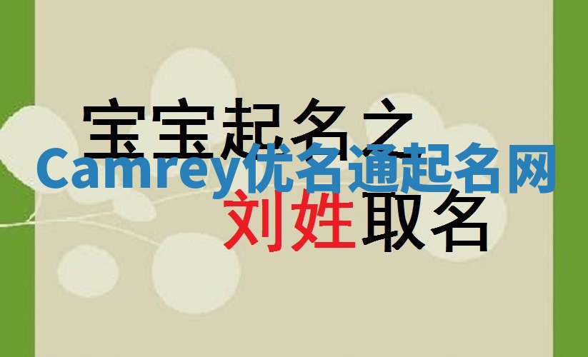 Camrey优名通起名网