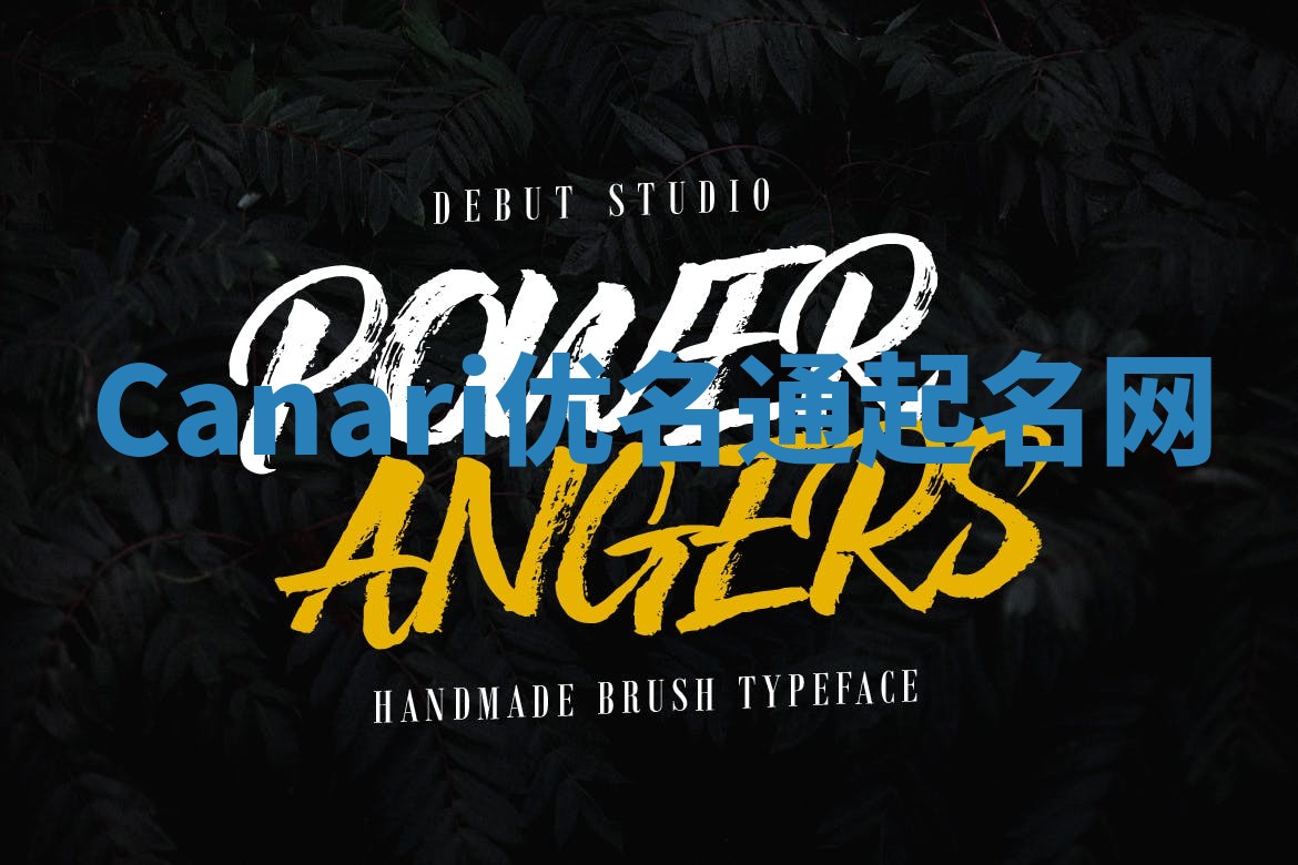 Canari优名通起名网