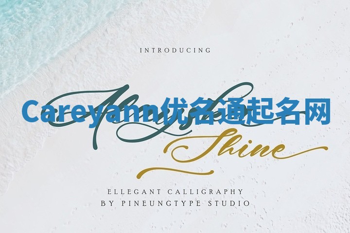 Careyann优名通起名网