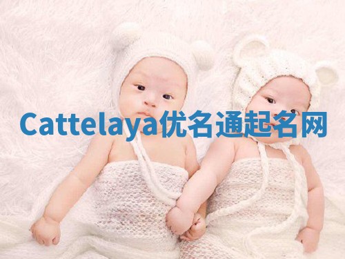 Cattelaya优名通起名网
