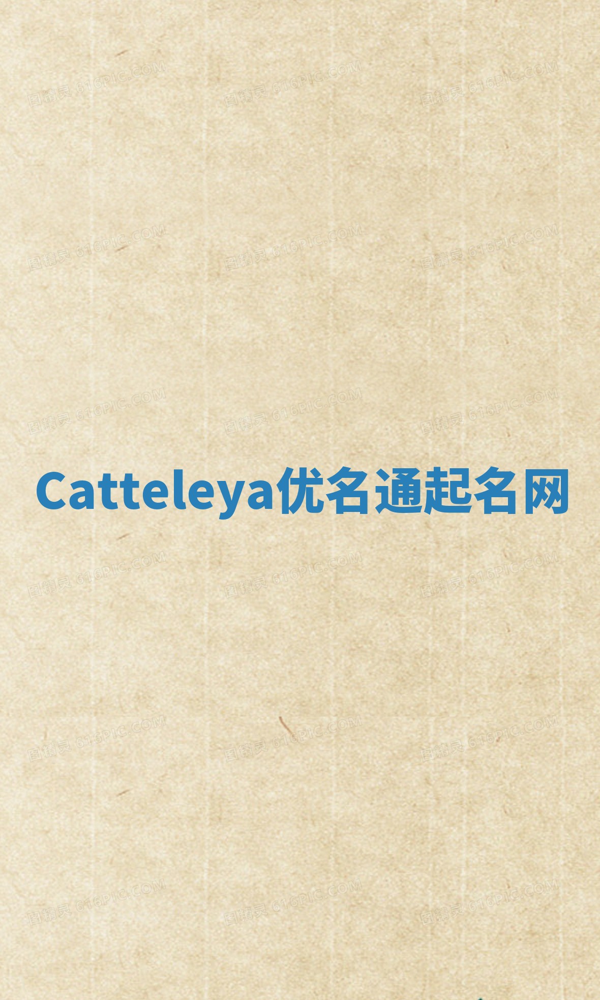 Catteleya优名通起名网