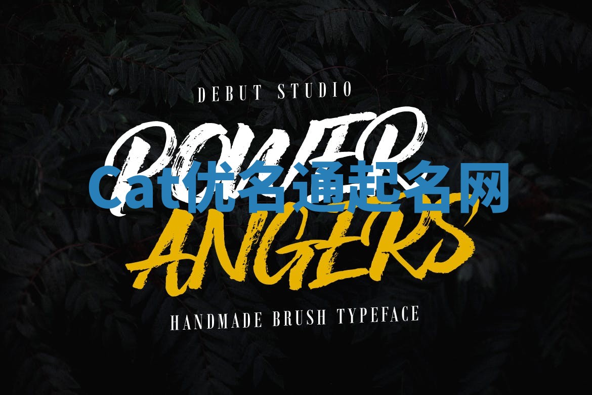 Cat优名通起名网