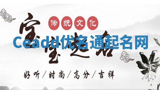 Ceadd优名通起名网