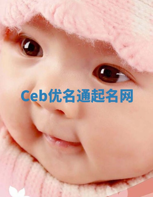 Ceb优名通起名网