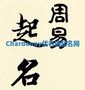 Chardonay优名通起名网