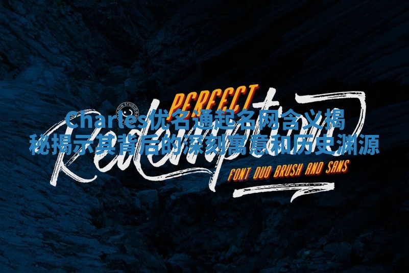 Charles优名通起名网含义揭秘揭示其背后的深刻寓意和历史渊源