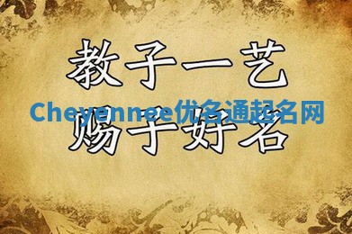 Cheyennee优名通起名网