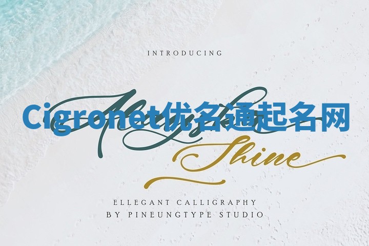 Cigronet优名通起名网