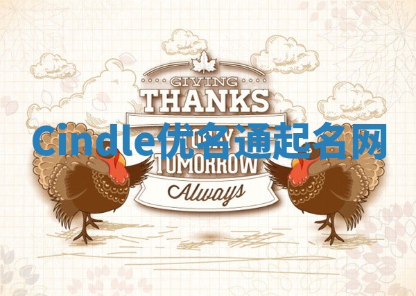 Cindle优名通起名网