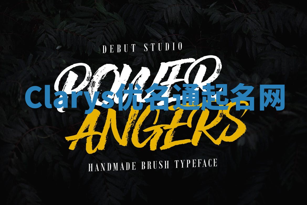 Clarys优名通起名网