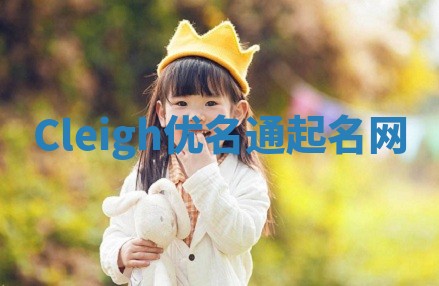 Cleigh优名通起名网