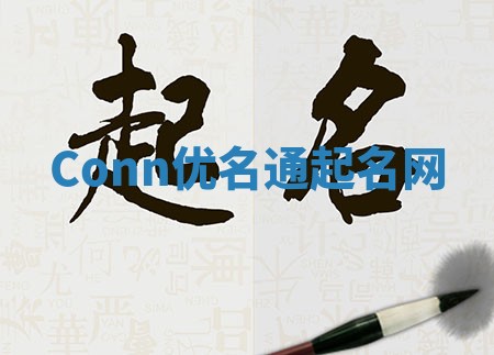 Conn优名通起名网