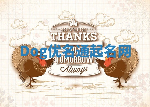 Dog优名通起名网