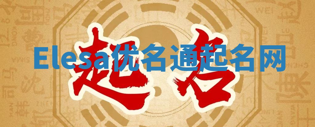 Elesa优名通起名网