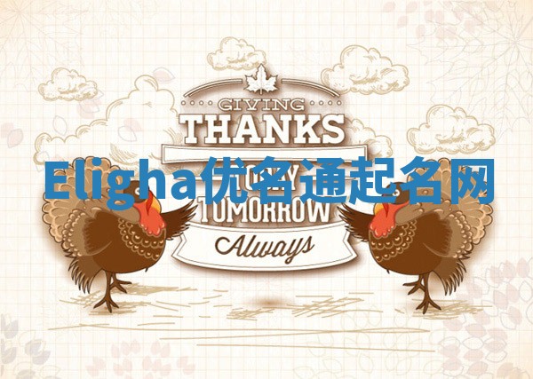 Eligha优名通起名网