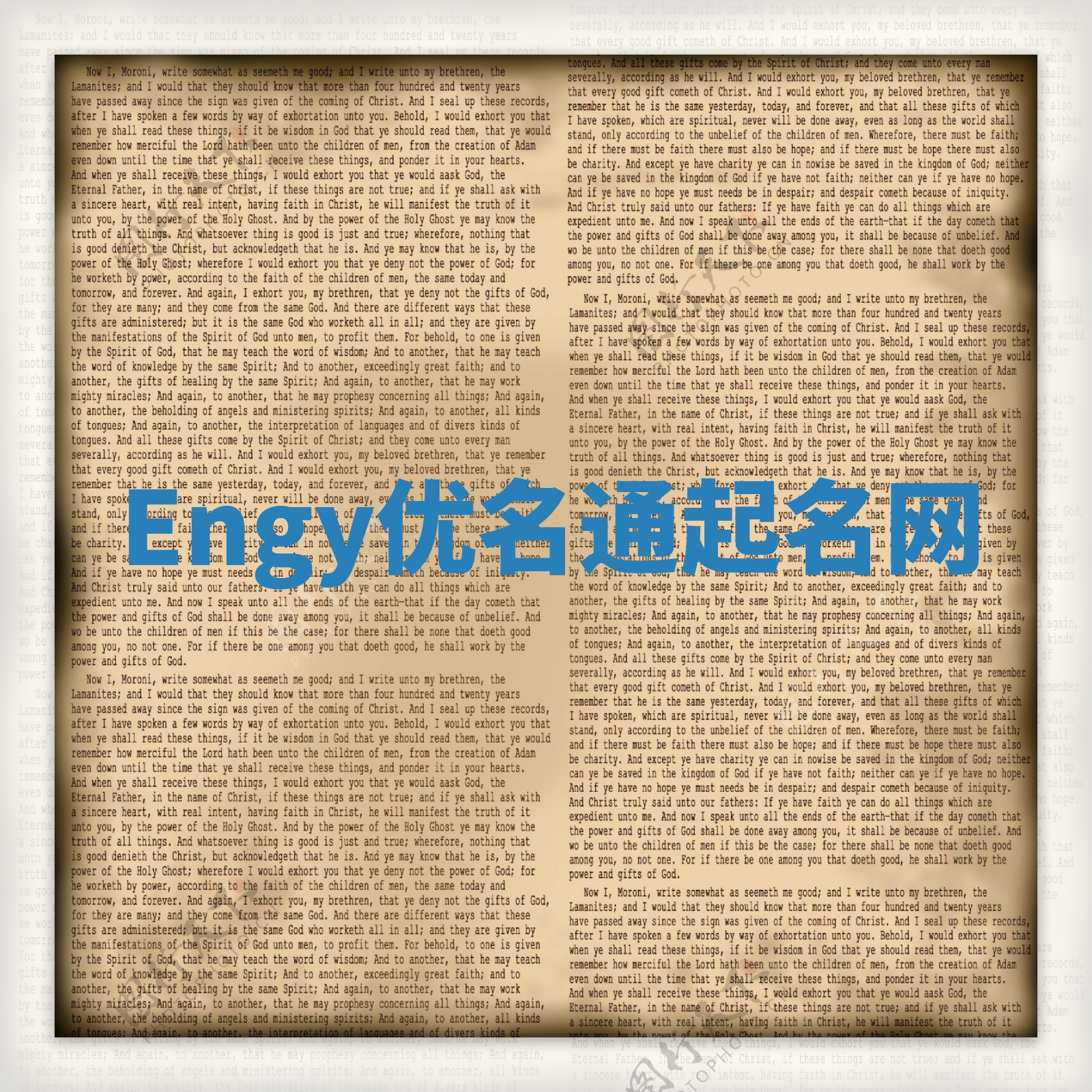Engy优名通起名网