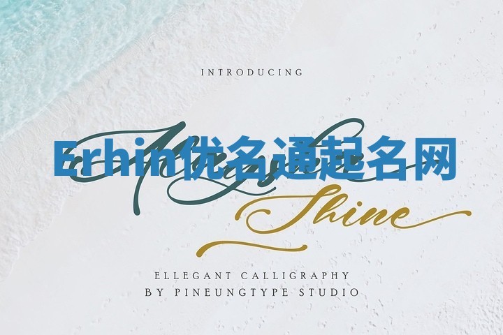 Erhin优名通起名网
