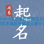 Esme优名通起名网含义 esi优名通起名网含义是什么