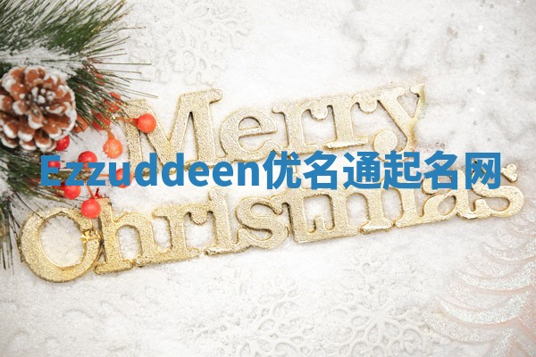 Ezzuddeen优名通起名网
