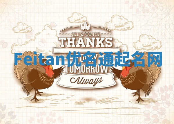 Feitan优名通起名网