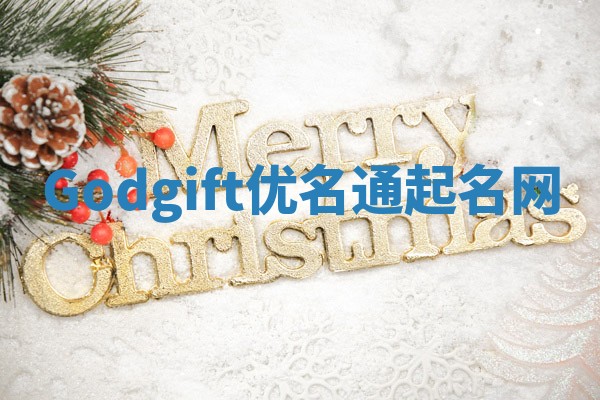 Godgift优名通起名网