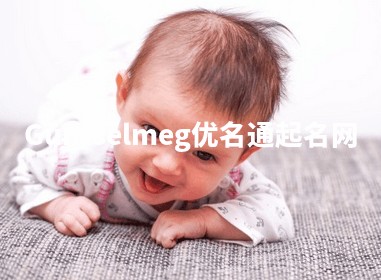 Guntselmeg优名通起名网