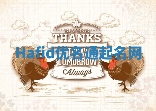 Hafid优名通起名网