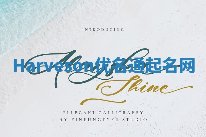 Harveson优名通起名网
