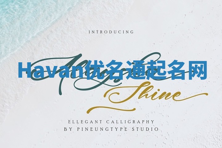 Havan优名通起名网