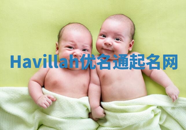 Havillah优名通起名网