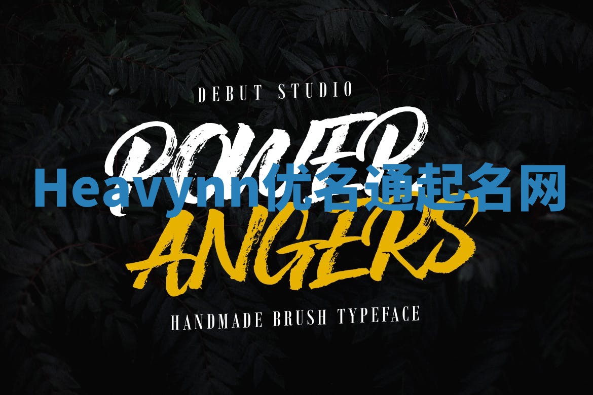 Heavynn优名通起名网