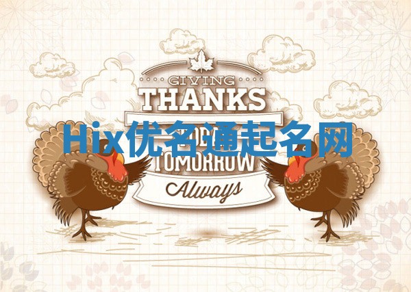 Hix优名通起名网