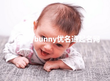 Honeybunny优名通起名网