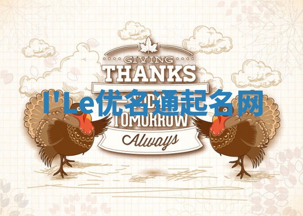 I'Le优名通起名网