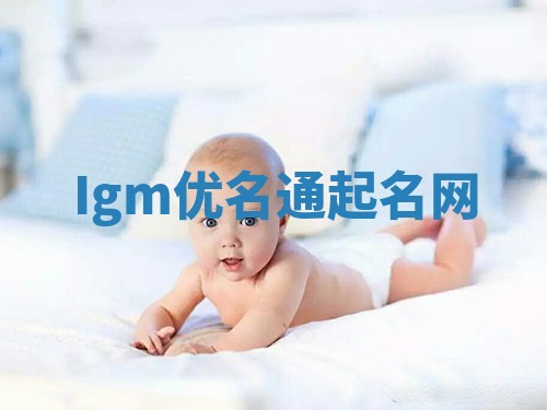 Igm优名通起名网