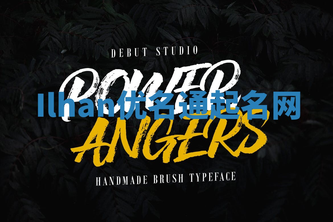 Ilhan优名通起名网