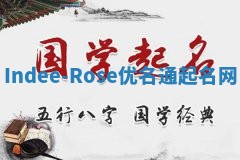 Indee-Rose优名通起名网