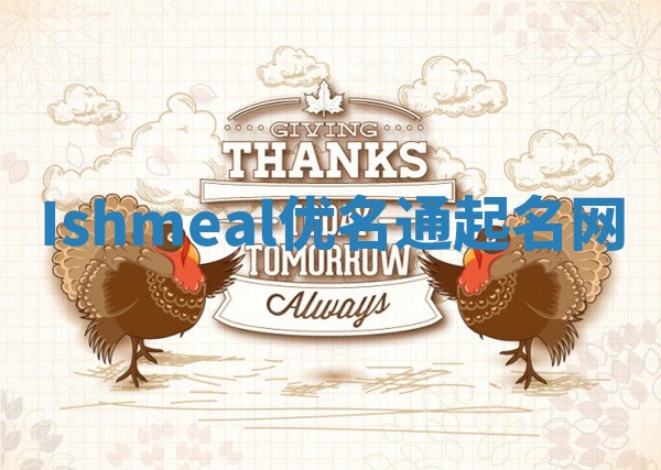 Ishmeal优名通起名网