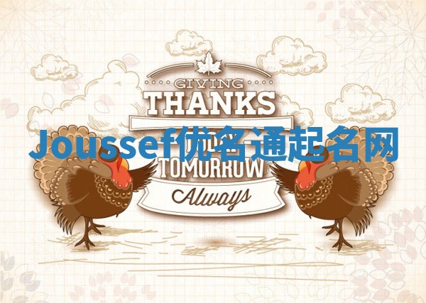 Joussef优名通起名网