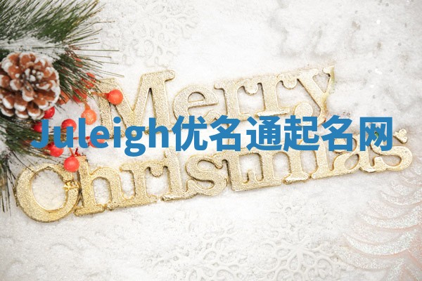 Juleigh优名通起名网