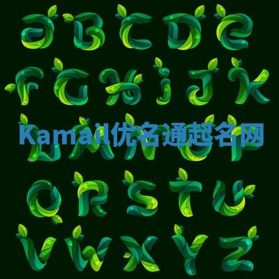 Kamail优名通起名网