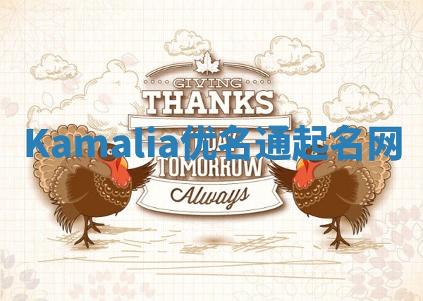 Kamalia优名通起名网