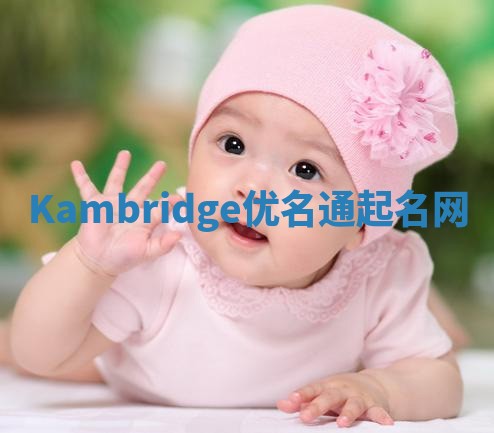 Kambridge优名通起名网