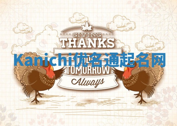 Kanichi优名通起名网