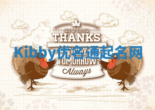 Kibby优名通起名网
