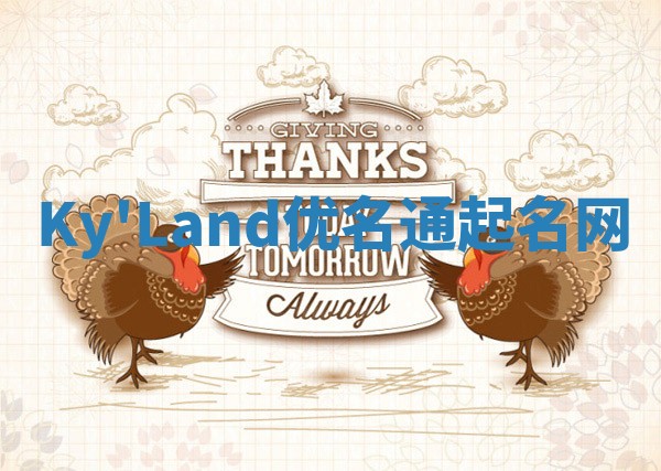 Ky'Land优名通起名网